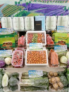 首屆金昌農產品展覽會圓滿落幕 初加工食用農產品引領農業(yè)新風向