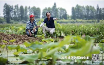 臨空港 食用農產品初加工產業(yè)蓬勃發(fā)展，打造鄉(xiāng)村振興新引擎