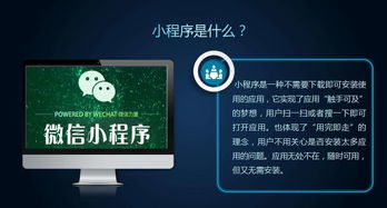 企業(yè)官網(wǎng)建設(shè) 電腦 手機(jī) 小程序 完美解決方案,成本非常低