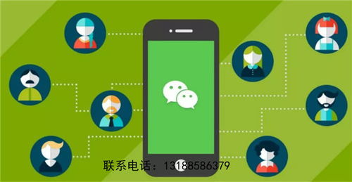 沈陽公眾號開發(fā)創(chuàng)新輝煌